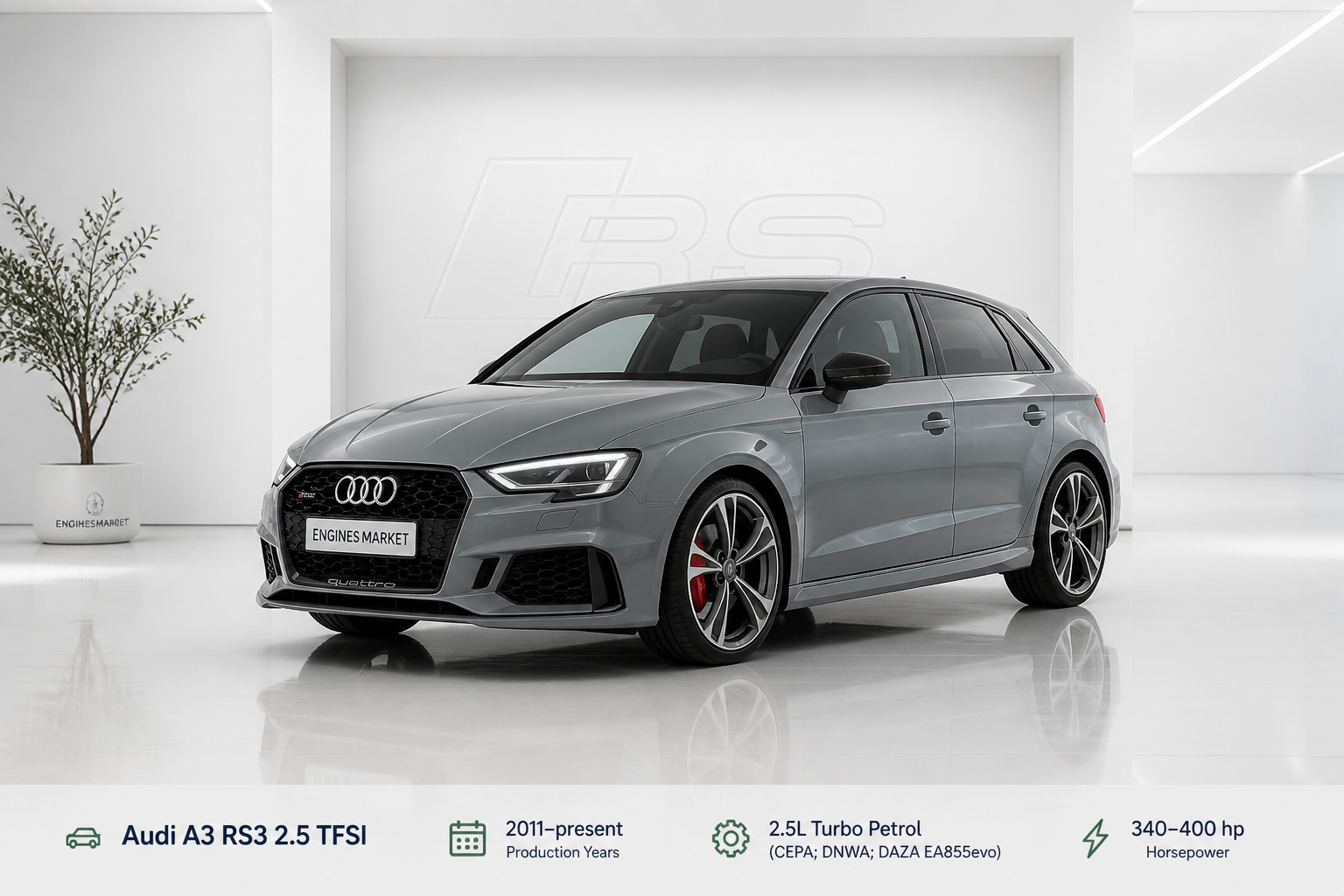 Audi A3 RS3 2.5 TFSI