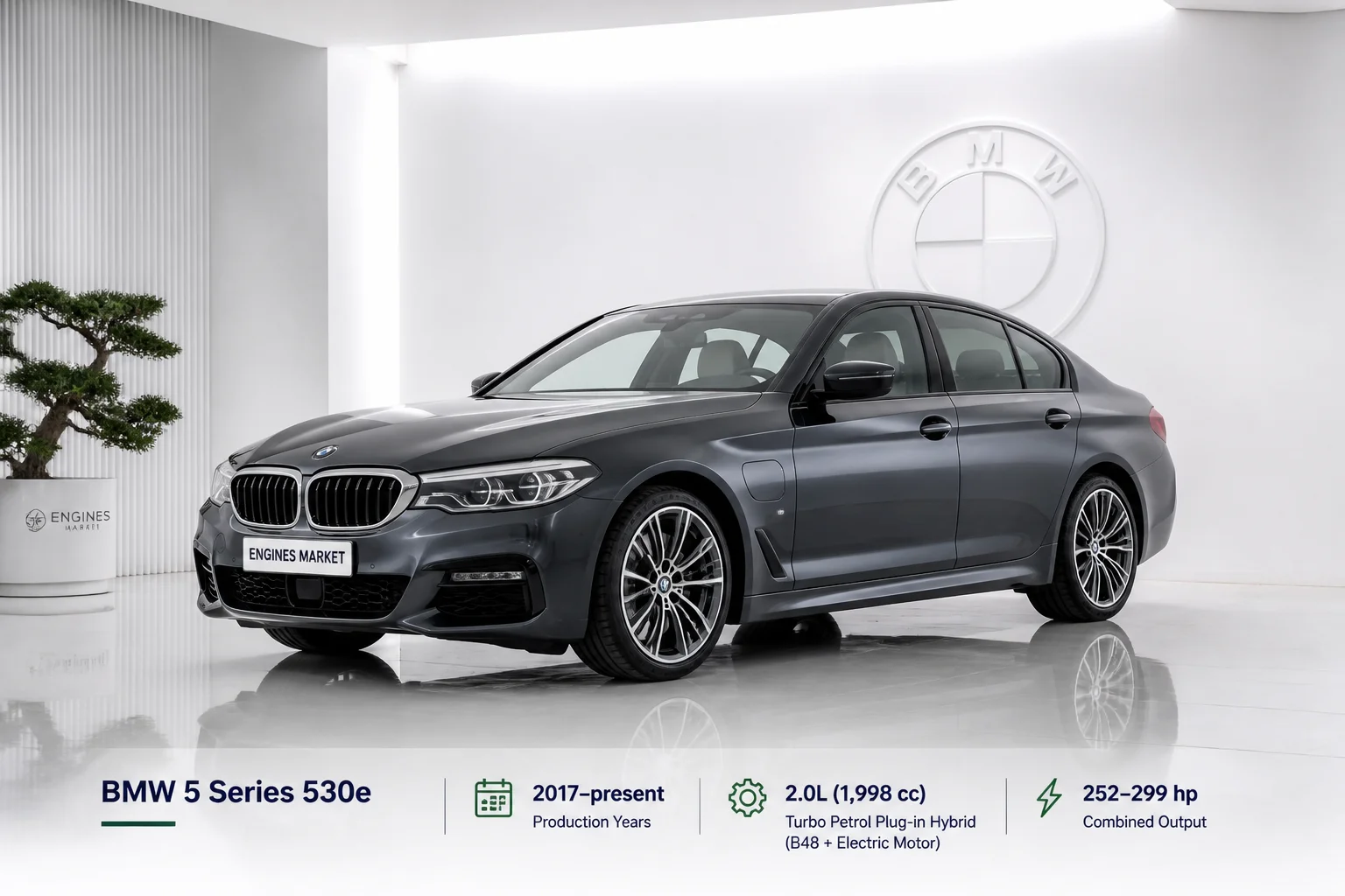 5 Series 530e