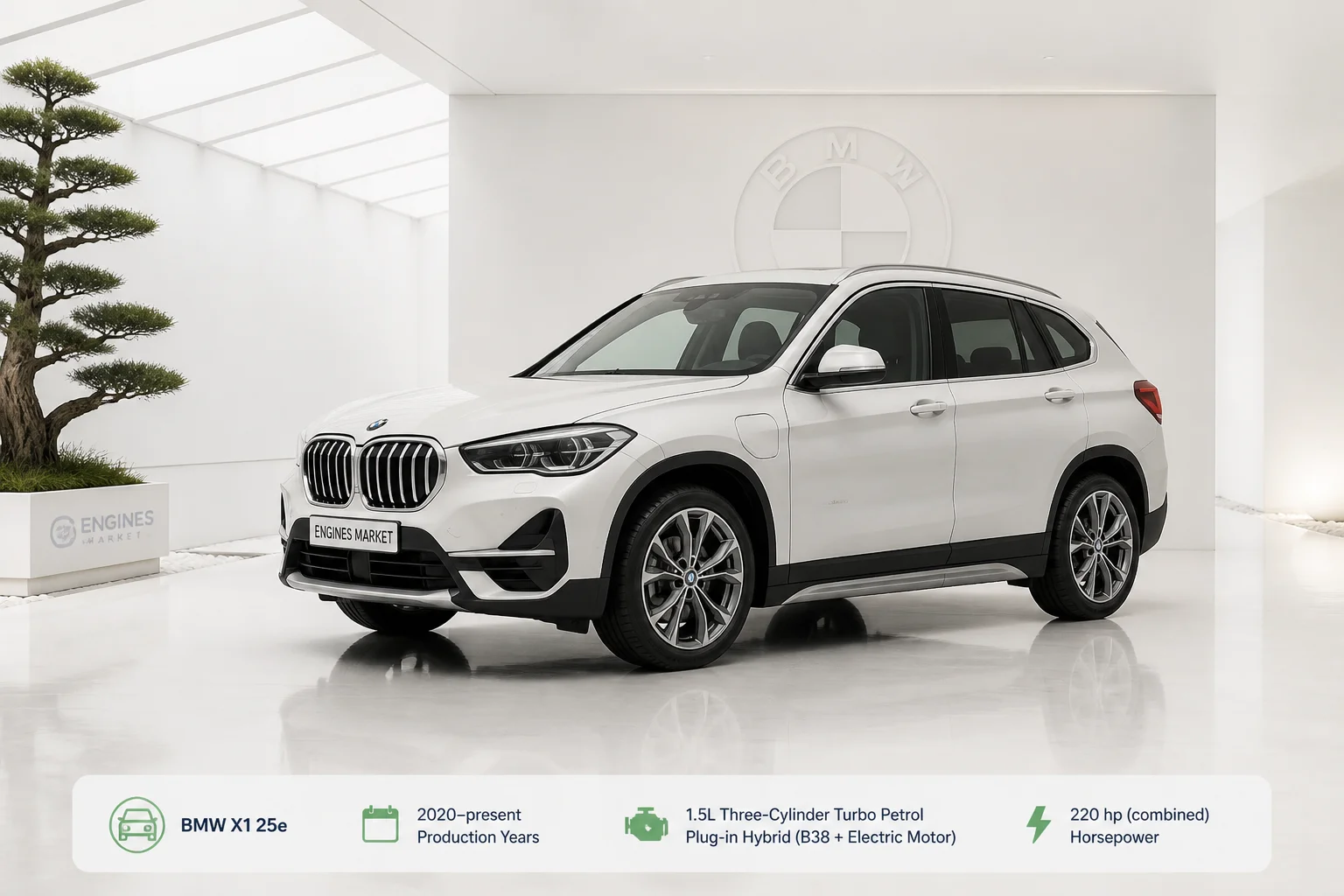 X1 xDrive25e
