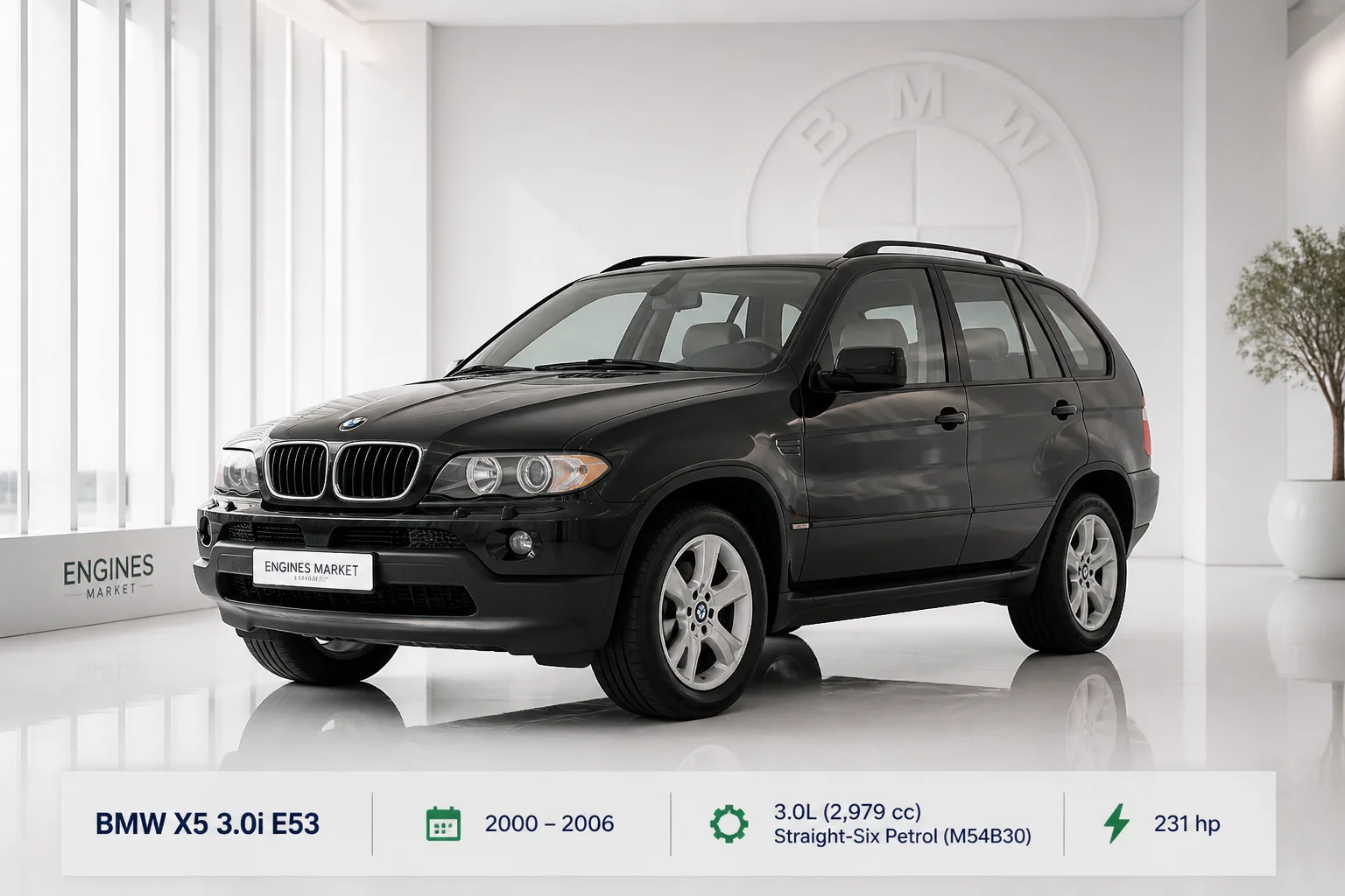 BMW X5 3.0i E53 - Engine History & Specs at a Glance