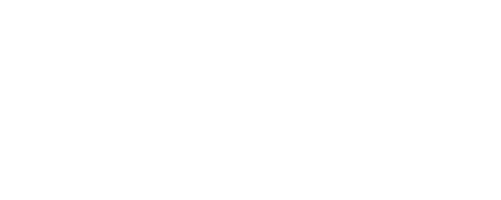 BMW Engine